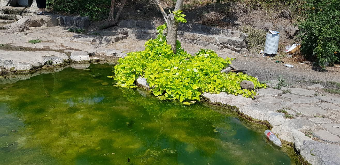 עין תרפ"ו — מעיינות, תמונה 2