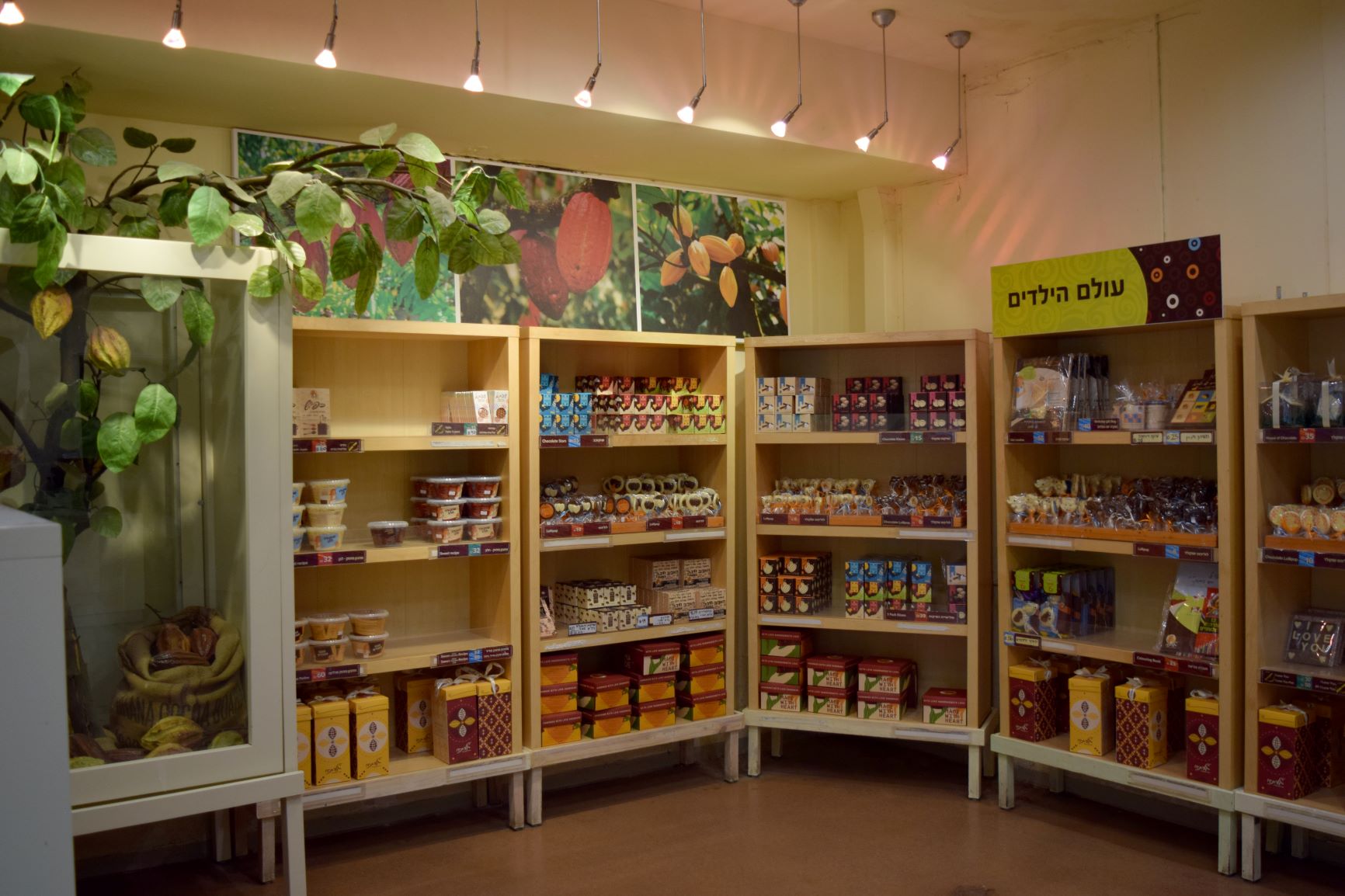 גליתא סדנאות שוקולד — סדנאות שוקולד, תמונה 4