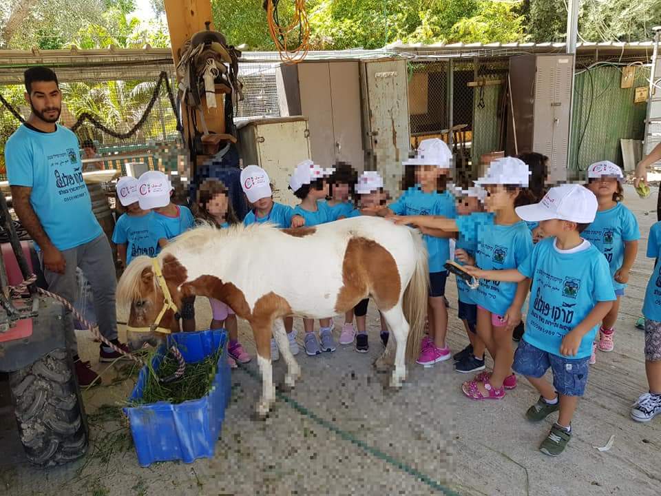 ג'ונגל כייף בית זרע — פינות חי, תמונה 4