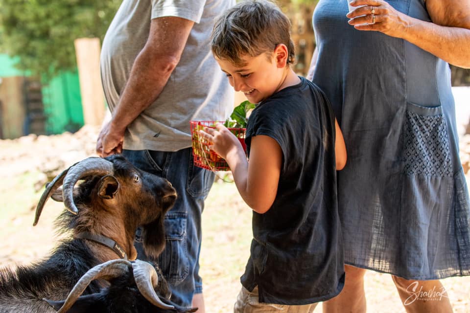 החווה במושב אודם — פינות חי, תמונה 2