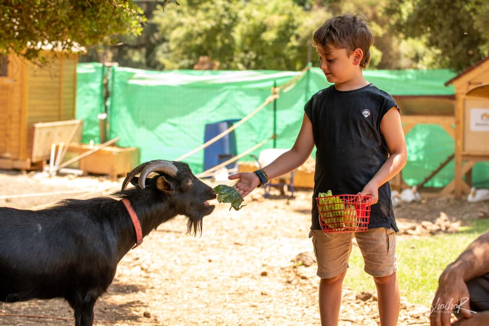 החווה במושב אודם — פינות חי, תמונה 5