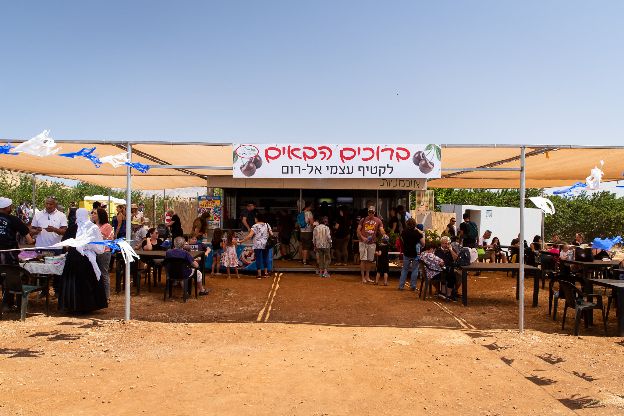 קטיף עצמי אלרום — קטיף עצמי, תמונה 3