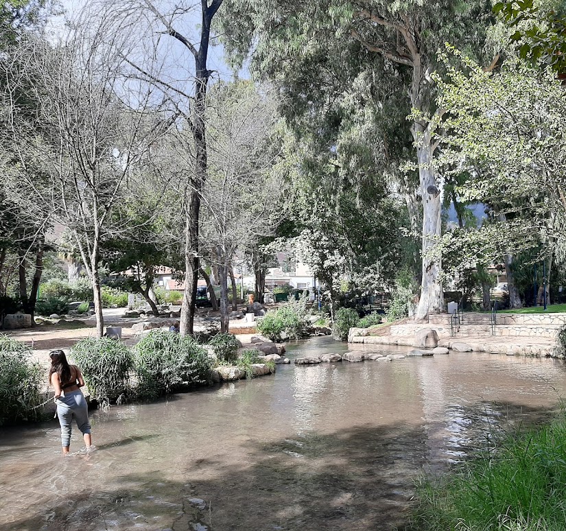 מעיין הזהב קרית שמונה — מעיינות, תמונה 7