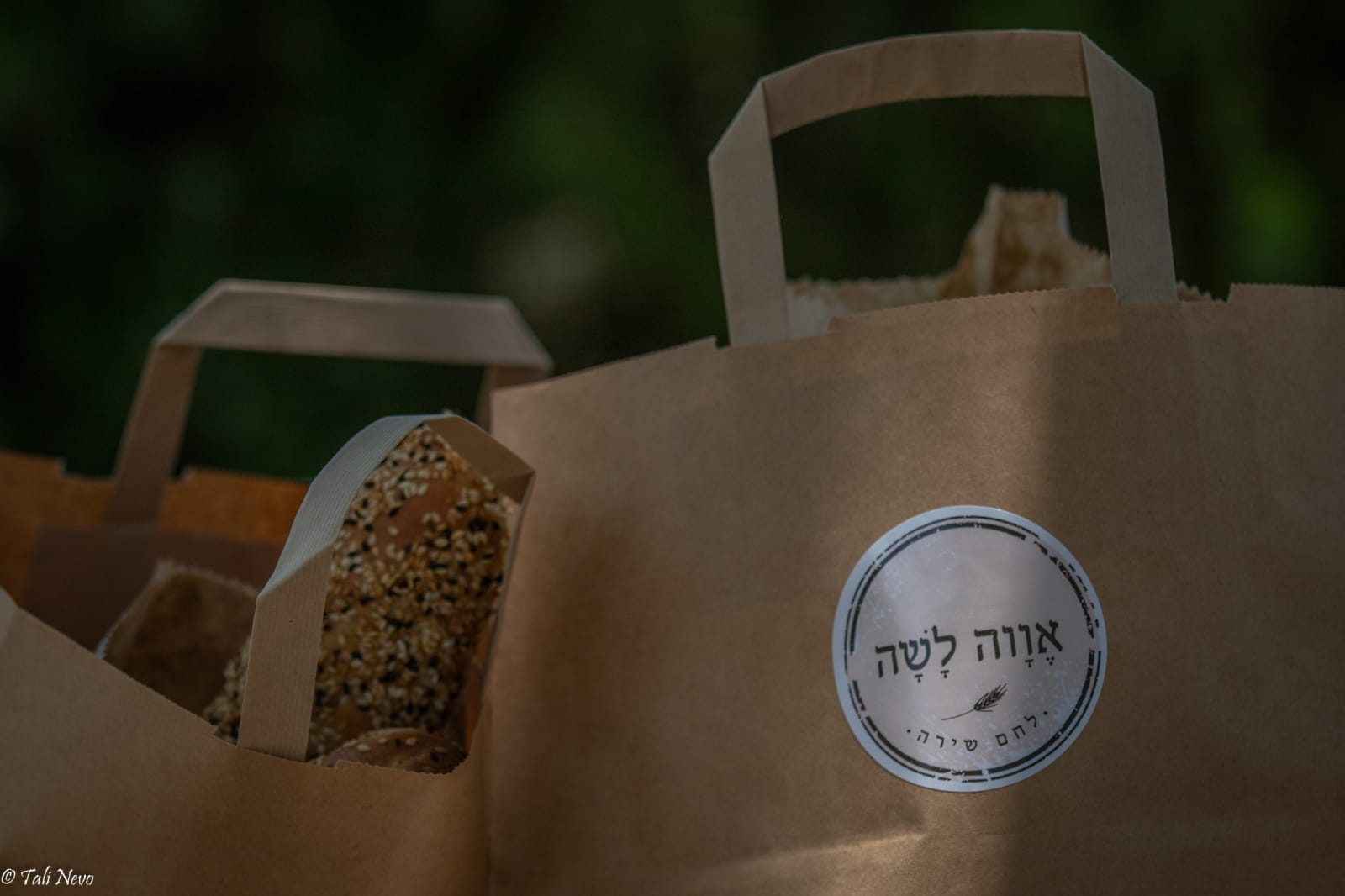 סדנאות אפיית לחם - אווה לשה — סדנאות אפייה, תמונה 5