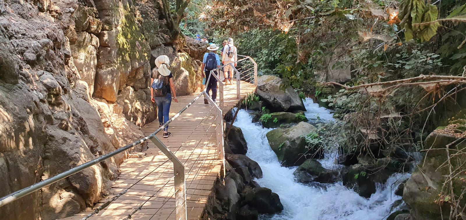 שמורת הבניאס — שמורות טבע, תמונה 3