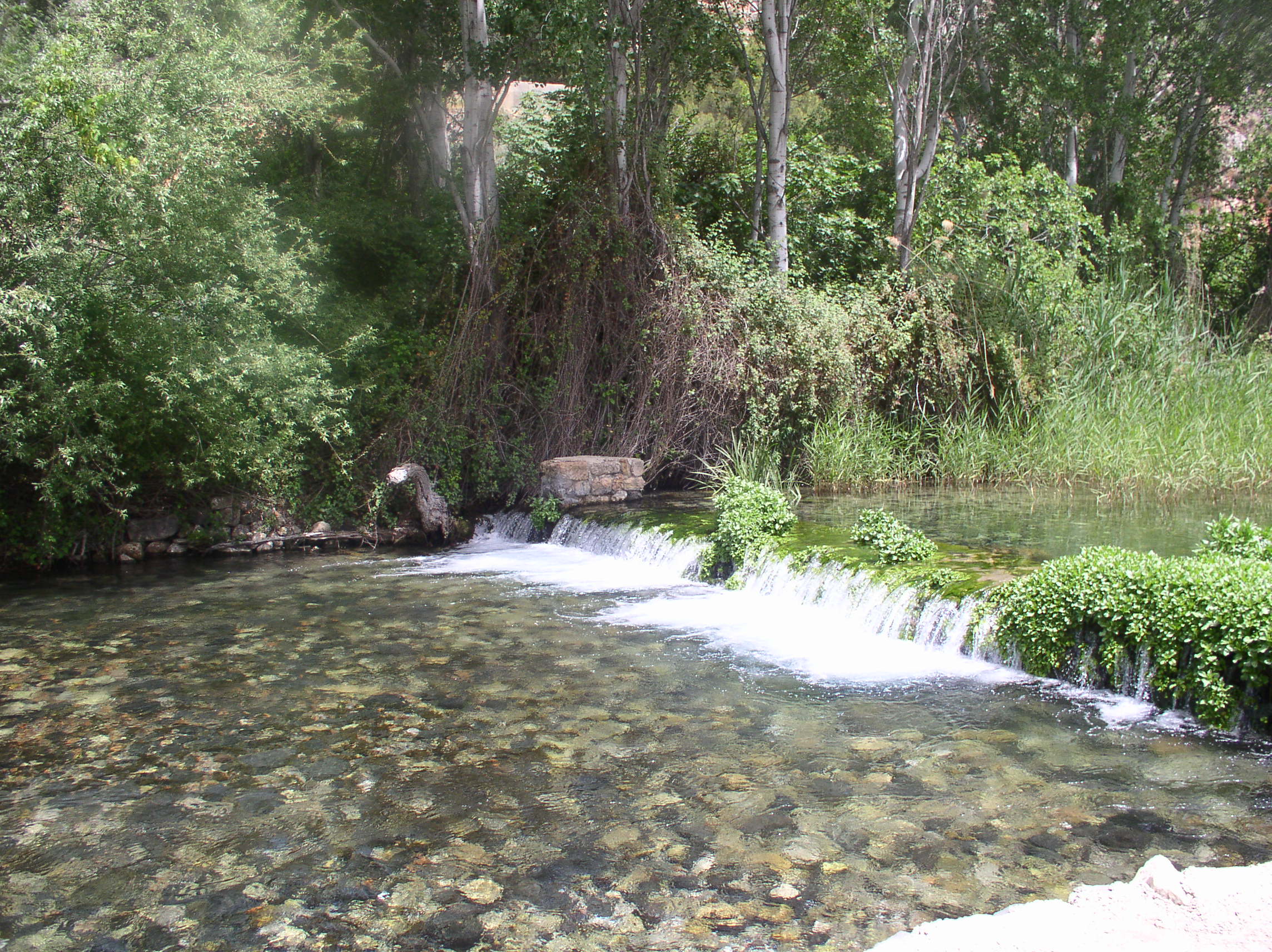 שמורת הבניאס — שמורות טבע, תמונה 12