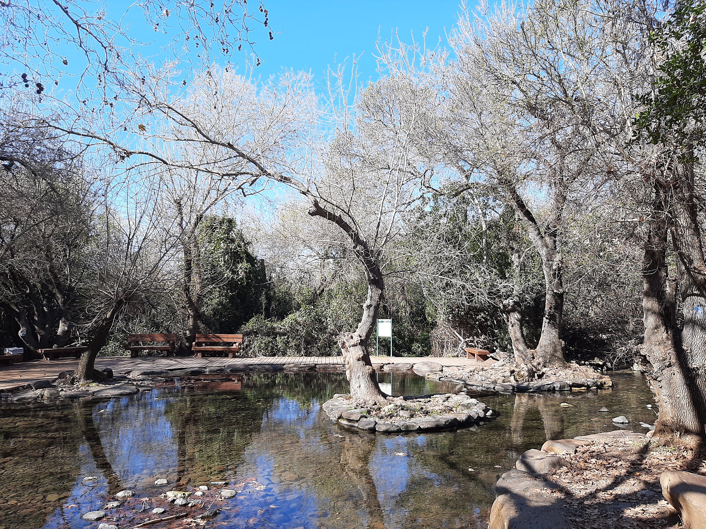 תל דן — שמורות טבע בתל דן