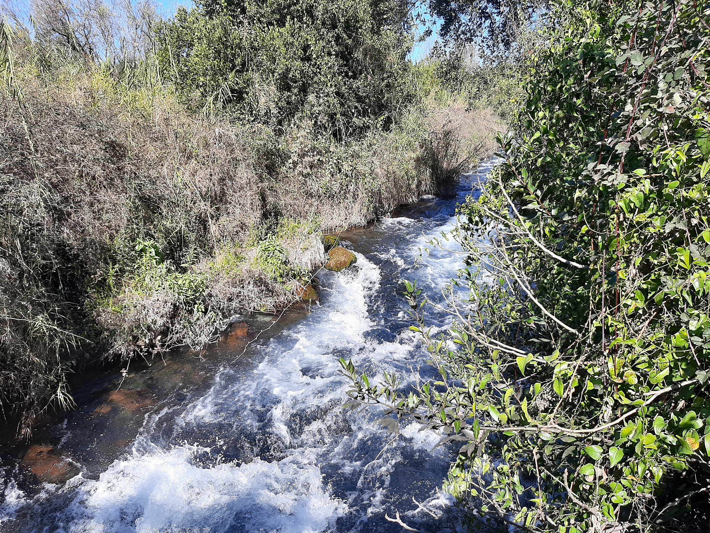 תל דן — שמורות טבע, תמונה 2