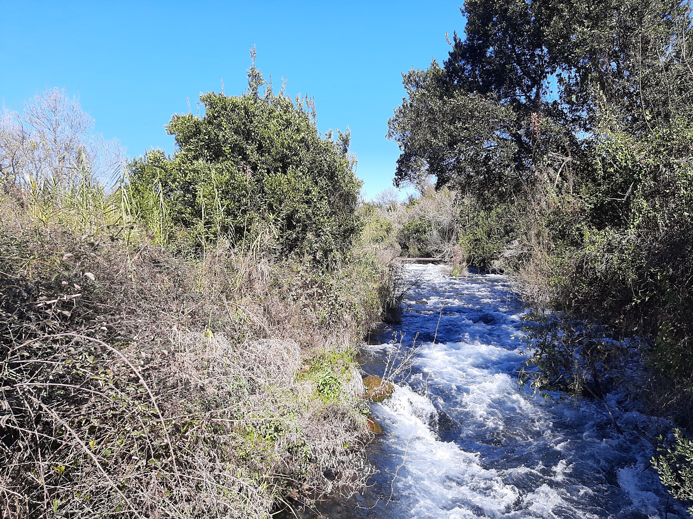 תל דן — שמורות טבע, תמונה 7