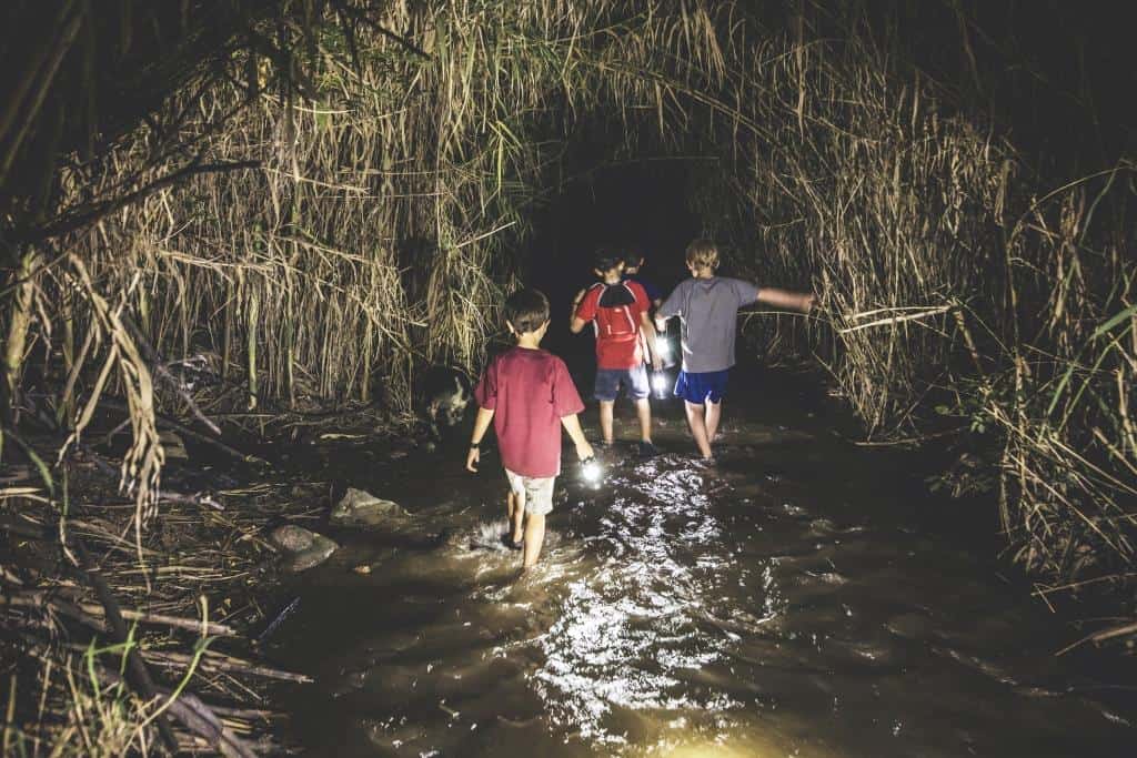 טיולי עששיות בפארק הירדן — טיולי עששיות, תמונה 2