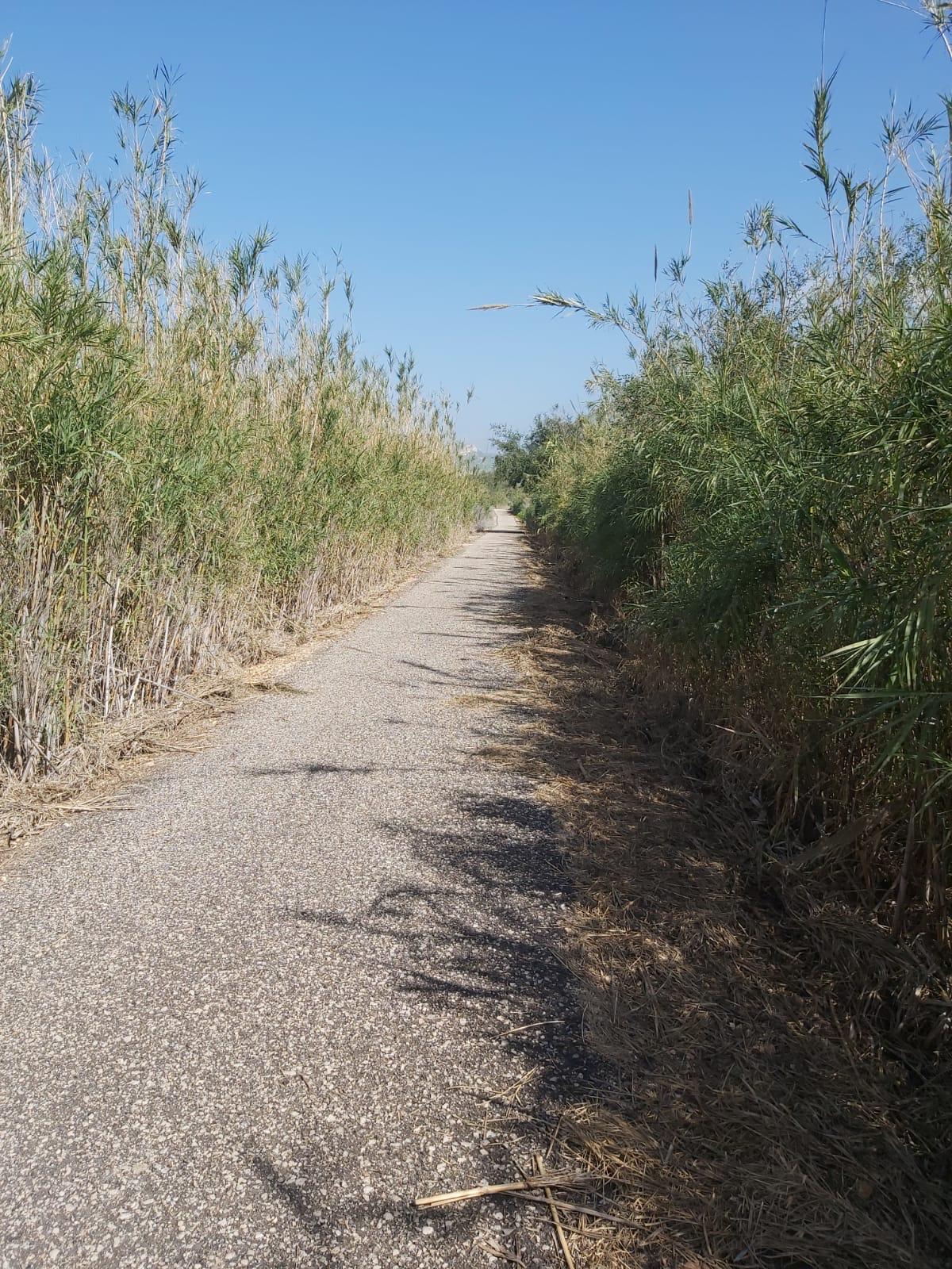 טיולי אופניים בקיבוץ מעגן — טיולי אופניים בכנרת