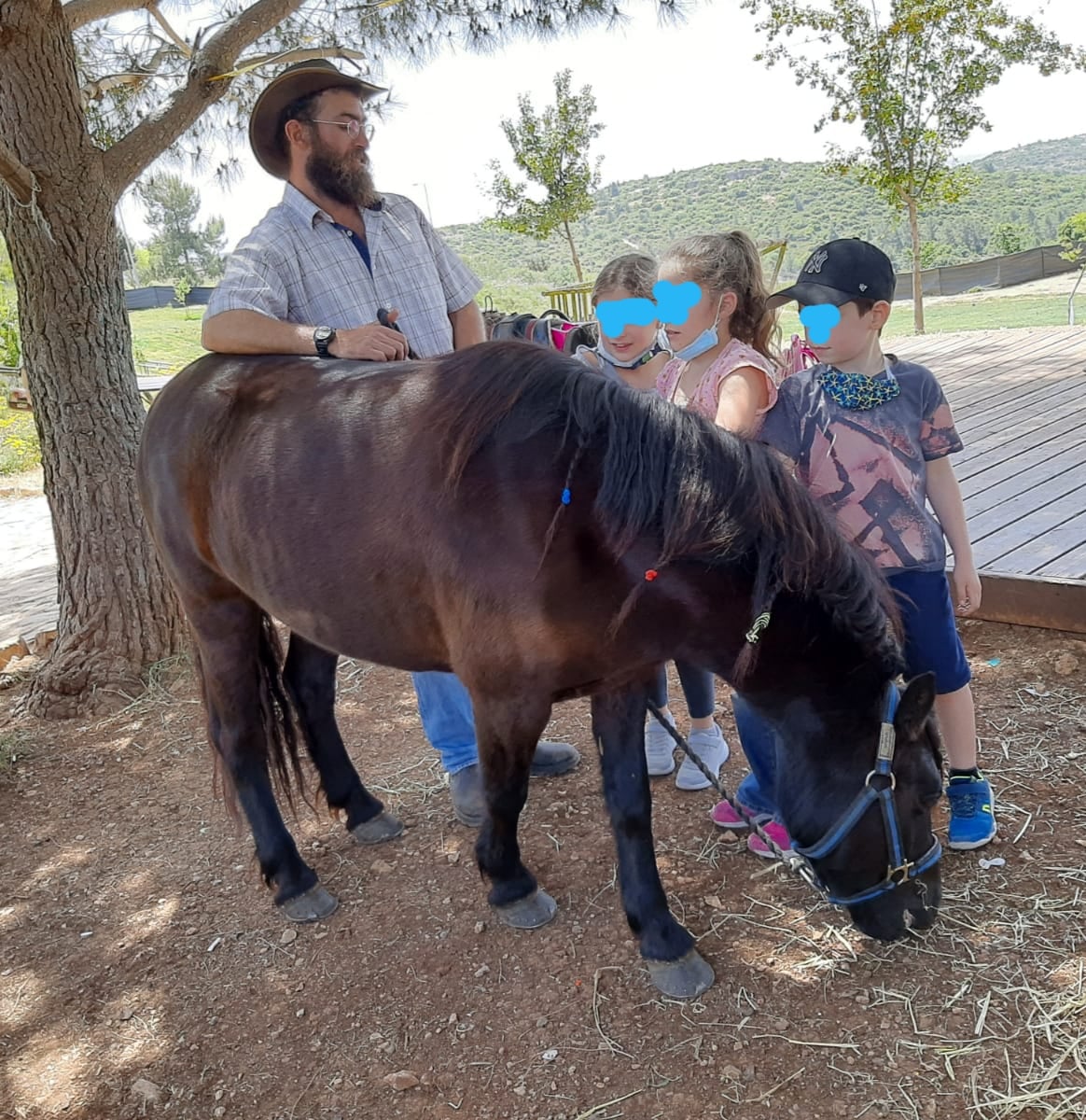 טיולי כרכרות - מרכבות הבשן — טיולי כרכרות, תמונה 3