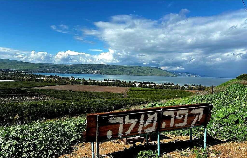 מול'ה קפה - עגלת קפה בתל קציר — בתי קפה ועגלות קפה בתל קציר